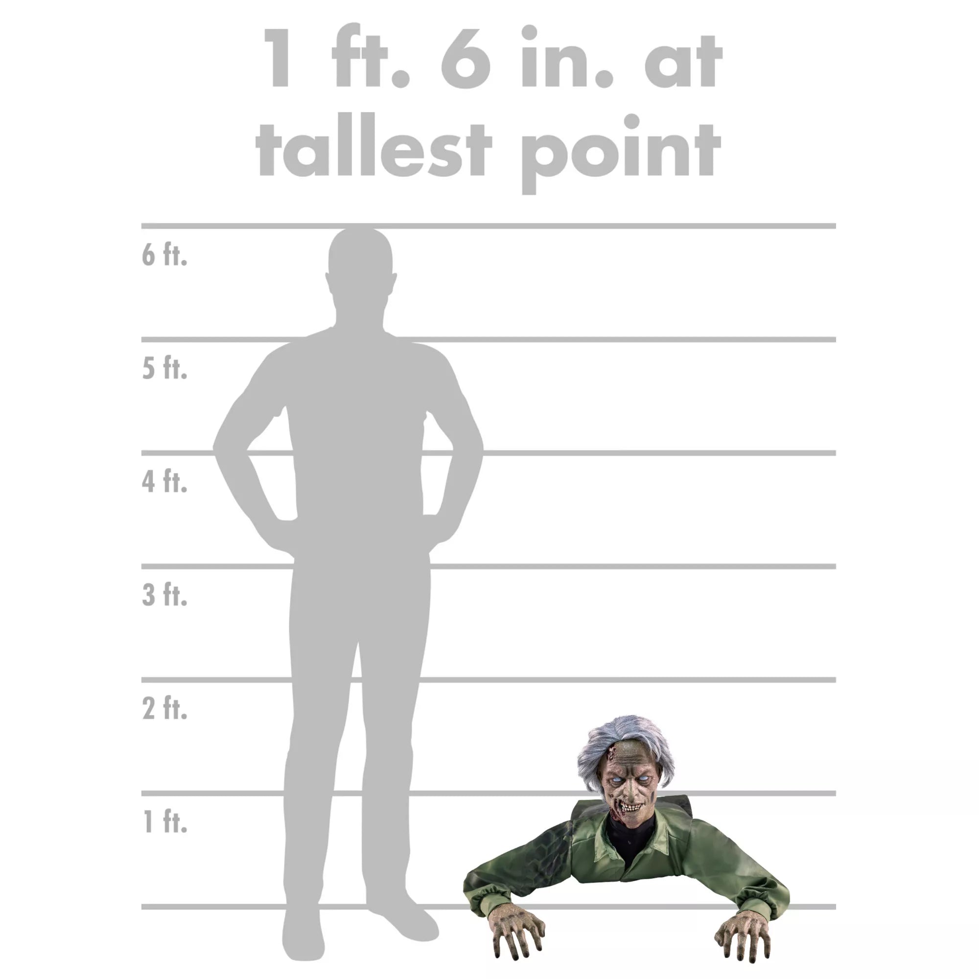 1 Ft 6 In Creepy Crawler Animatronic