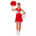 Adult Wildcats Cheer Uniform Costume -  High School Musical