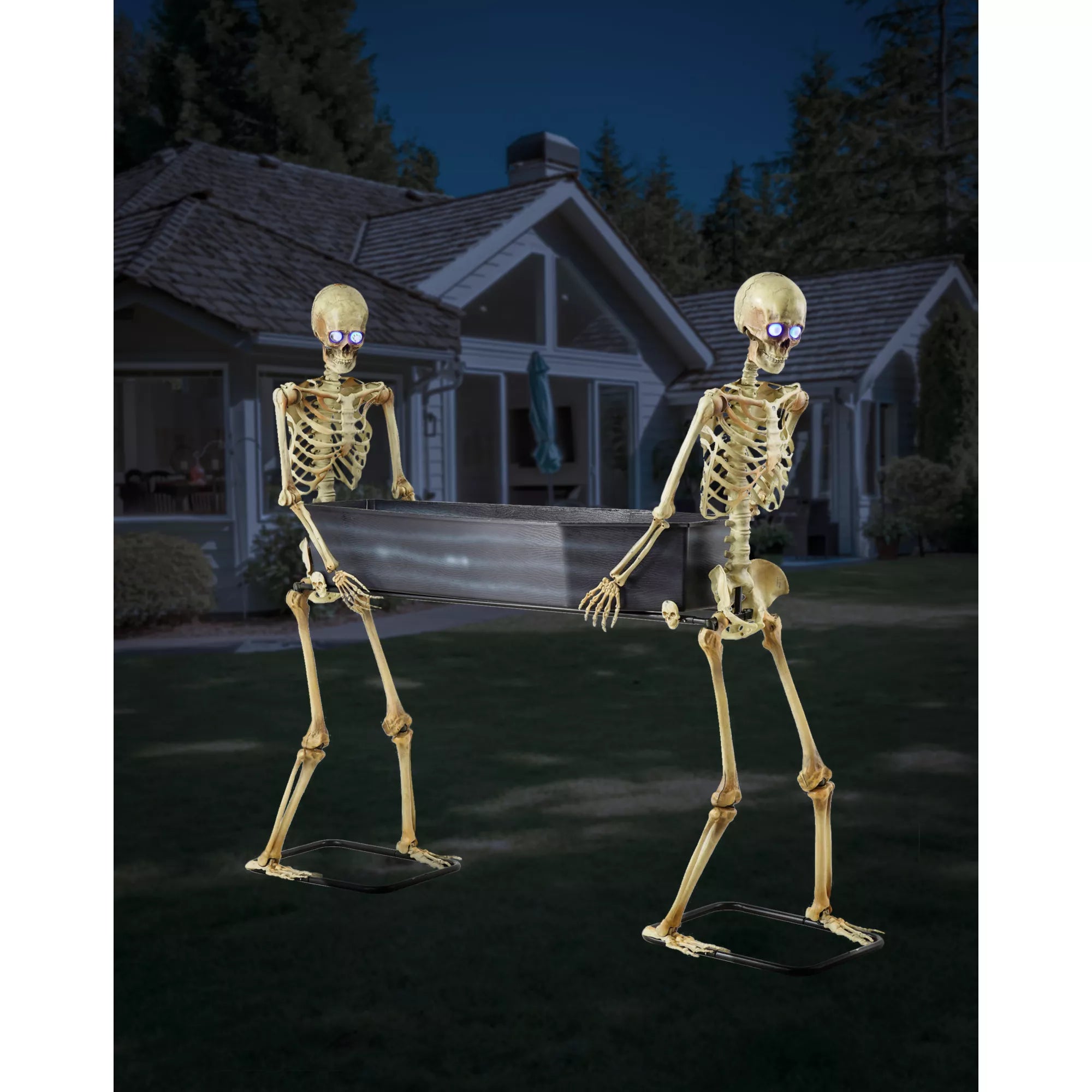 5 Ft LED Skeletons with Coffin