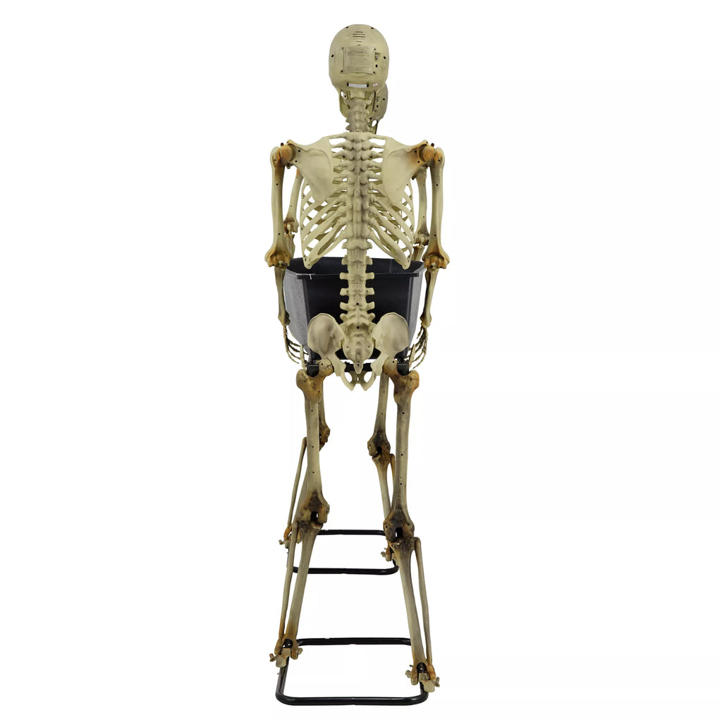5 Ft LED Skeletons with Coffin